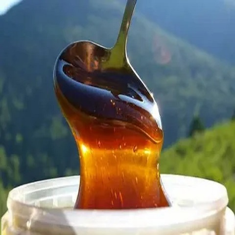 راهنمای خرید عسل گون طبیعی  + قیمت عالی